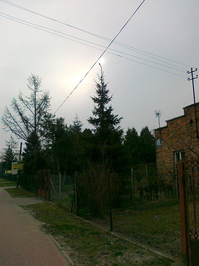 A tu chce być gwiazdką