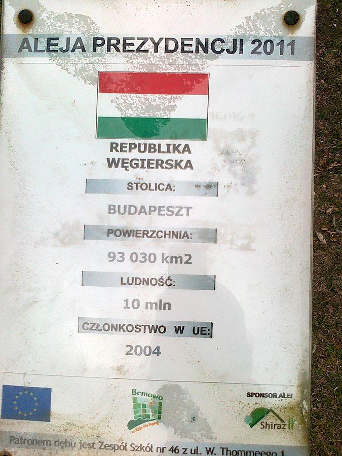 Dębami opiekują się dzieci z bemowskich szkół