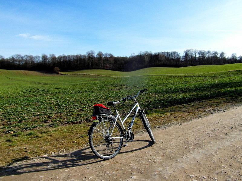 Kierunek leśniczówka