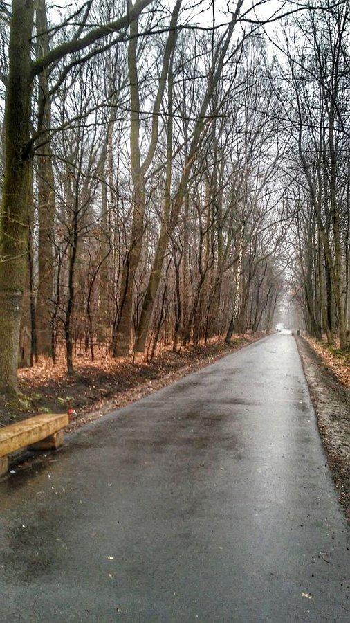 Mokro dzisiaj wszędzie