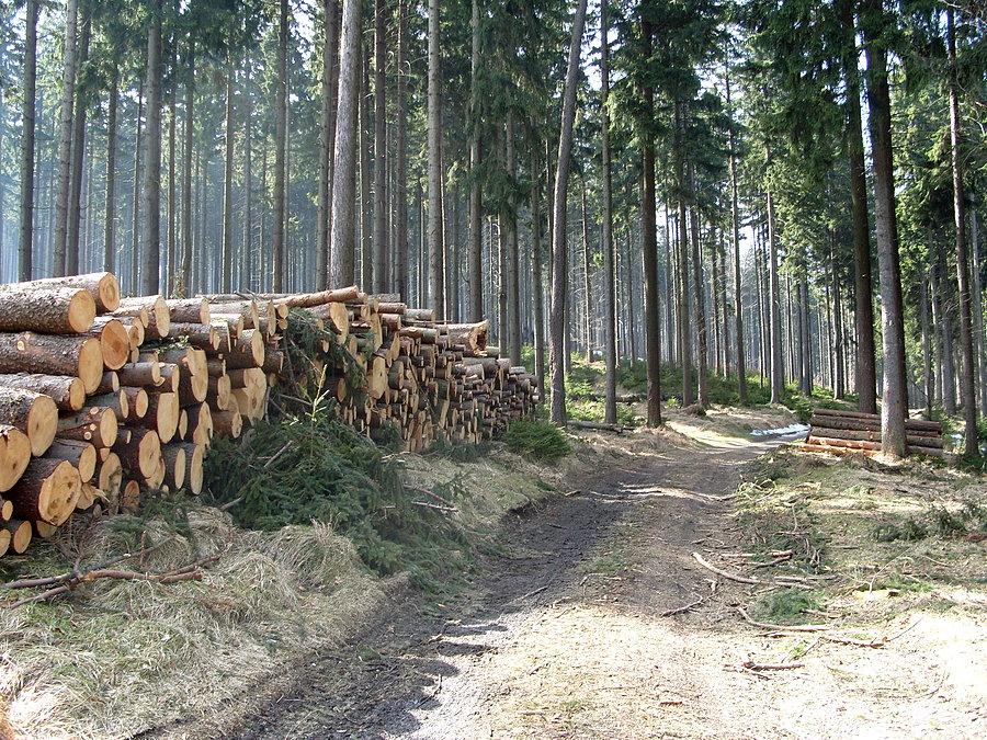 Droga świetna aż do
