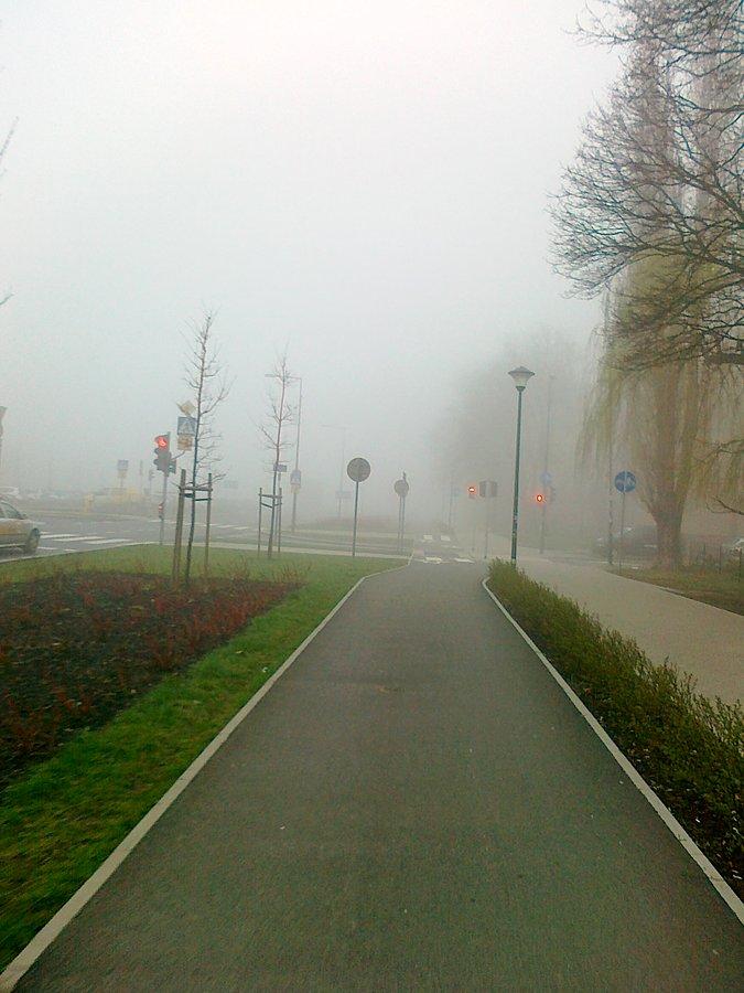 Mgła na Bielanach