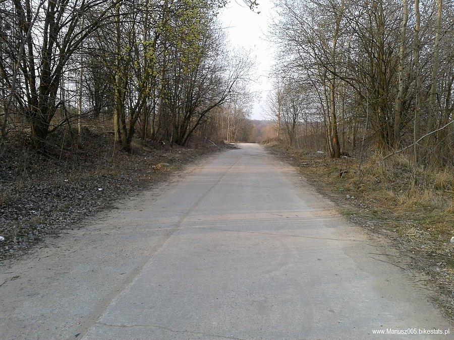 Modrzewina - Elbląg
