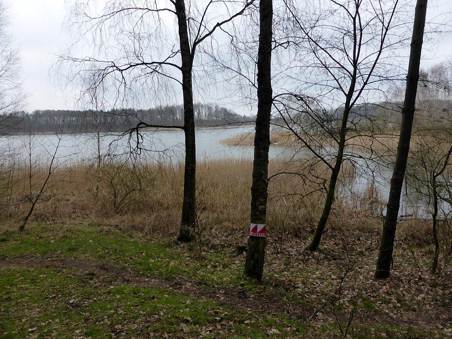 Przegapiłbym ten punkt