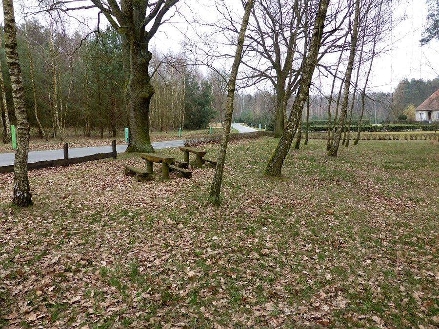 Przy przystanku Budziszowice