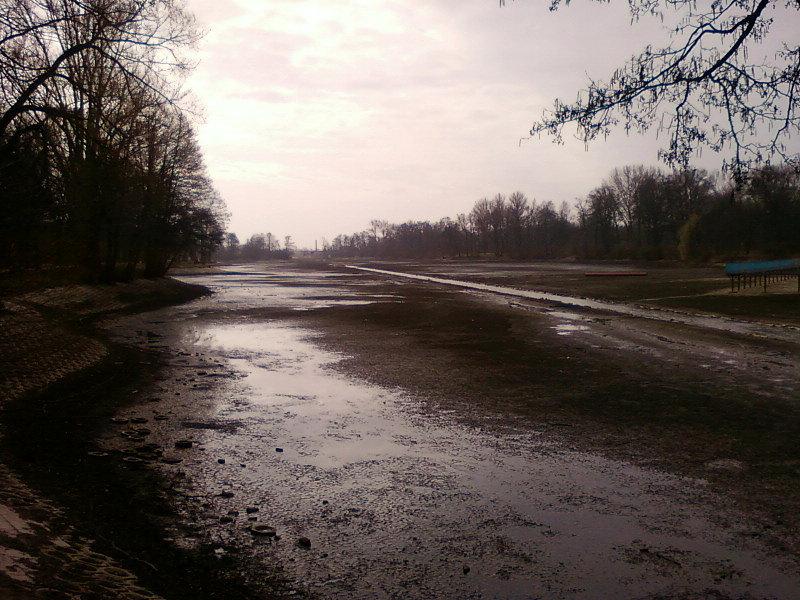 Oprózniony staw Stefańskiego