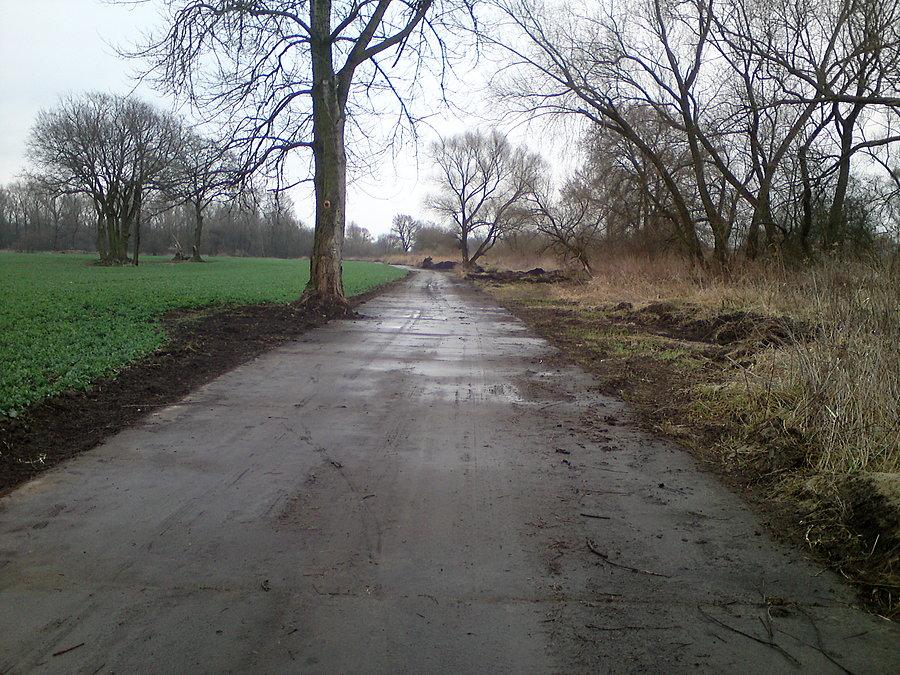 Wykarczowana betonówka