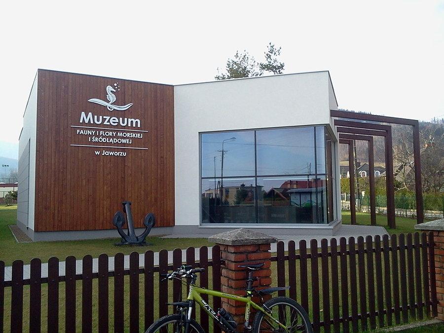 Jaworze