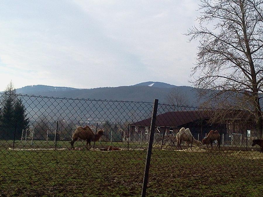Ranczo