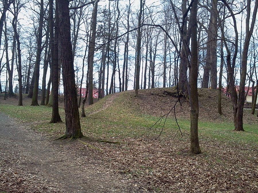 Ziemne fortyfikacje bastionowe wokół dworu