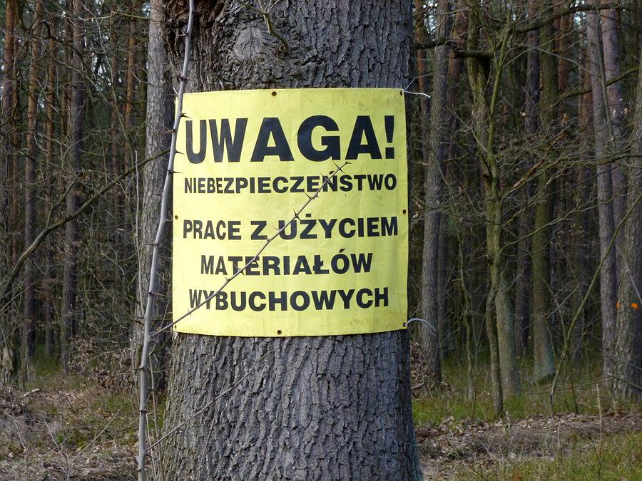 Tutaj to się bawią