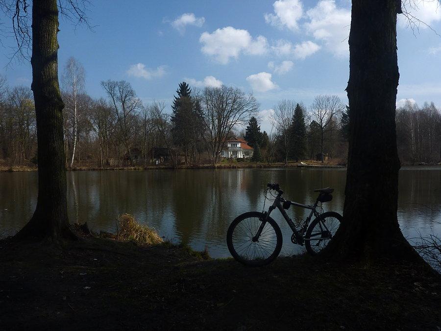 Park w Adamowiźnie