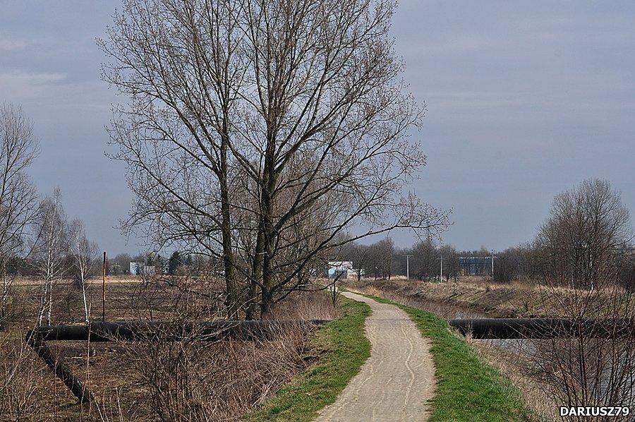 Będzin - Droga rowerowa wzdłuż rzeki Czarna Przemsza