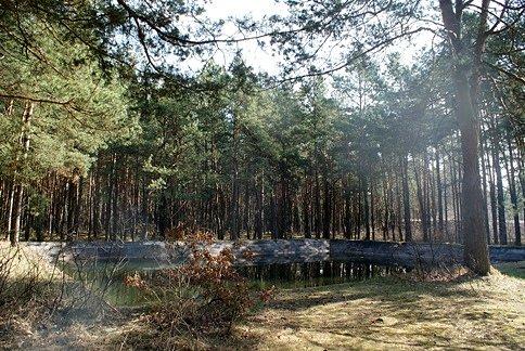 Zbiornik przeciwpożarowy na terenie byłych zakładów broni Nitrat