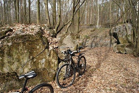 Na terenie bunkrów Skrzyneckich