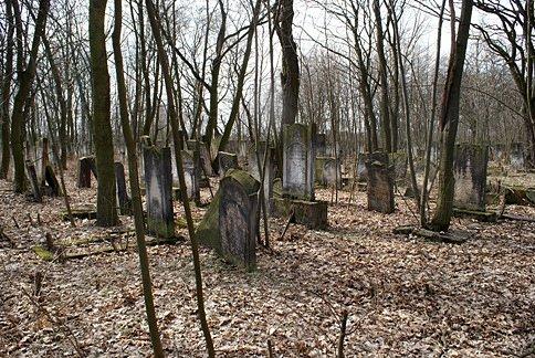 Porośnięty przeróżnymi chaszczami, trzeba patrzeć pod nogi