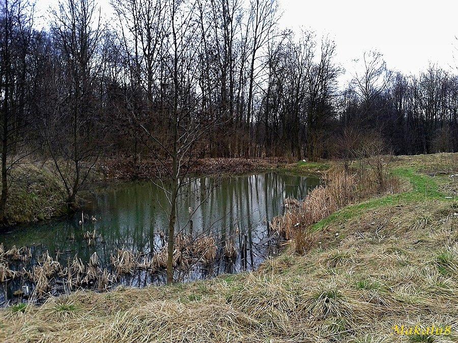 Kocie Górki płn