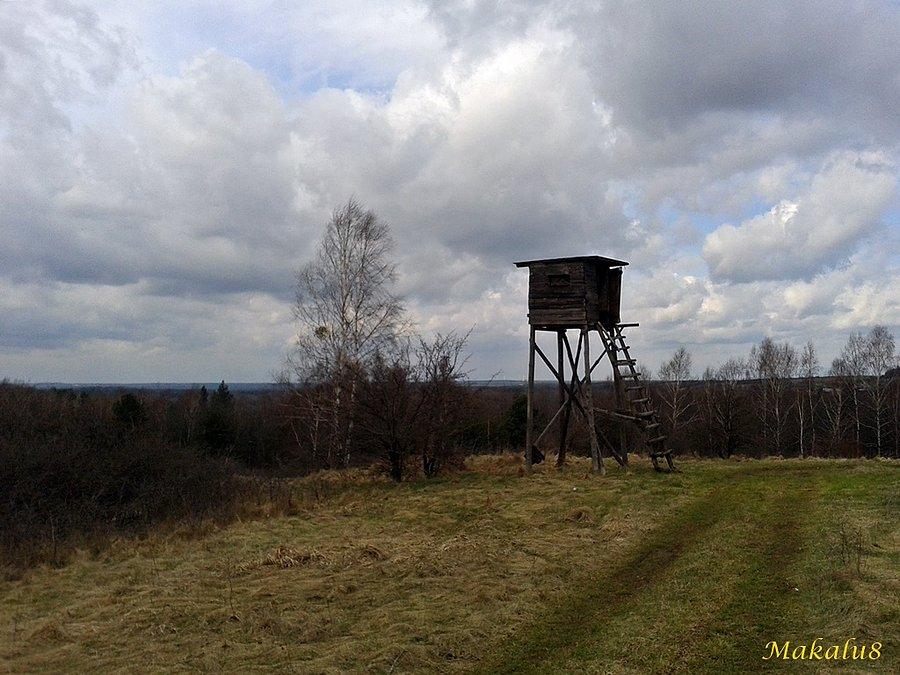 Góra Buczyna
