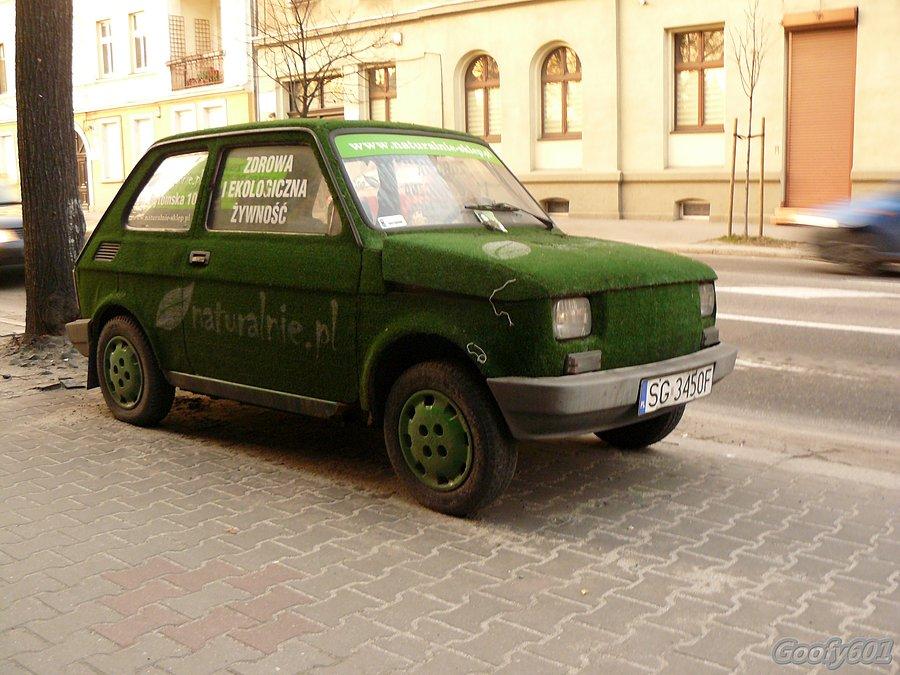 Czyżby już wiosna? ;)
