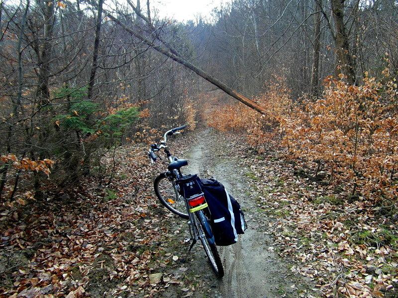 Przeszkody na szlaku