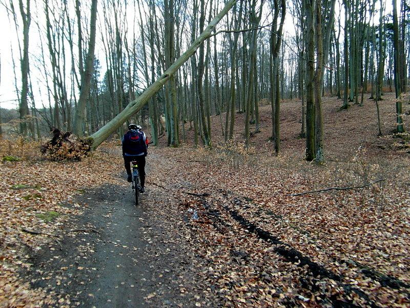 Ścieżką jedziemy dalej