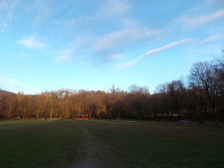 Polana w Bażantarni