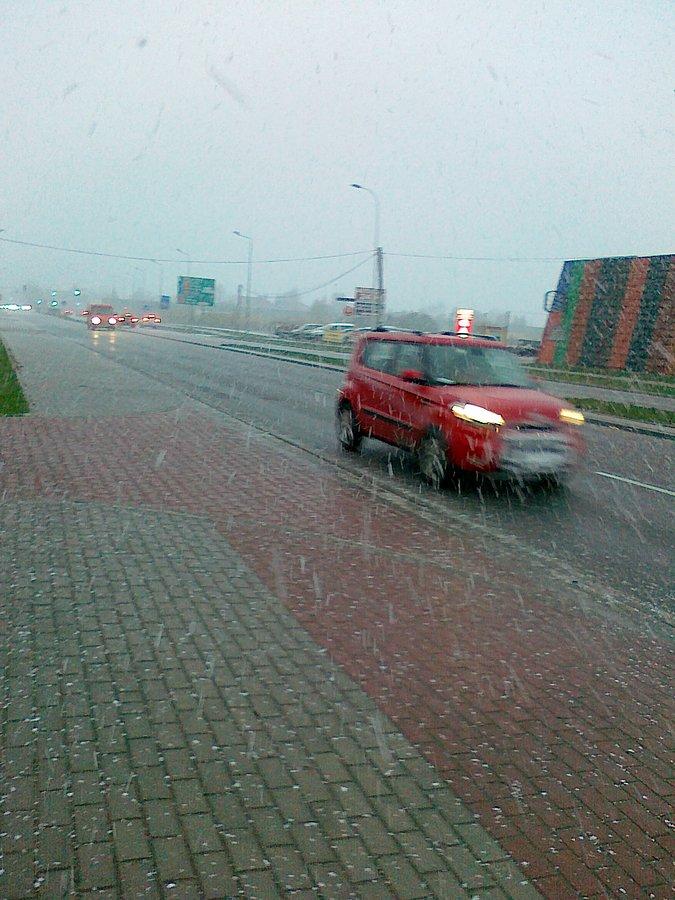 Śnieżyca