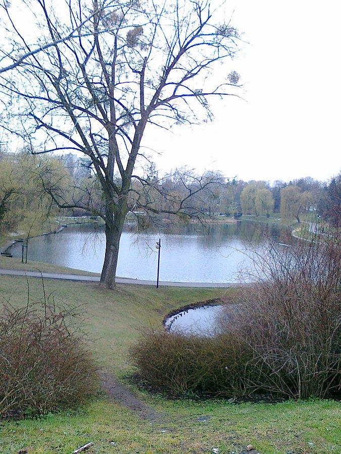 Park Moczydło