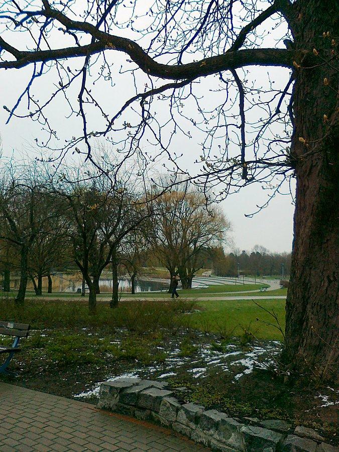 Park Szymańskiego