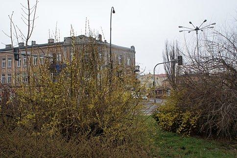 Wiosennie