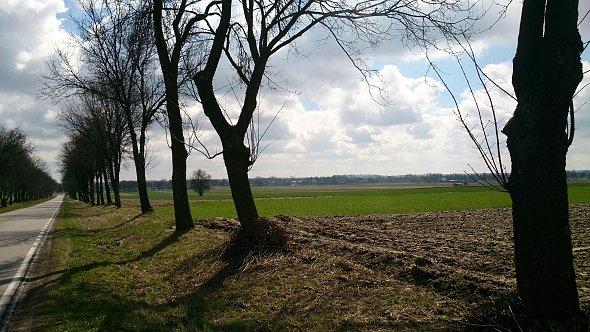 Widok na pola koło Bełżyc