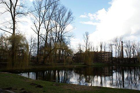 Staw parkowy