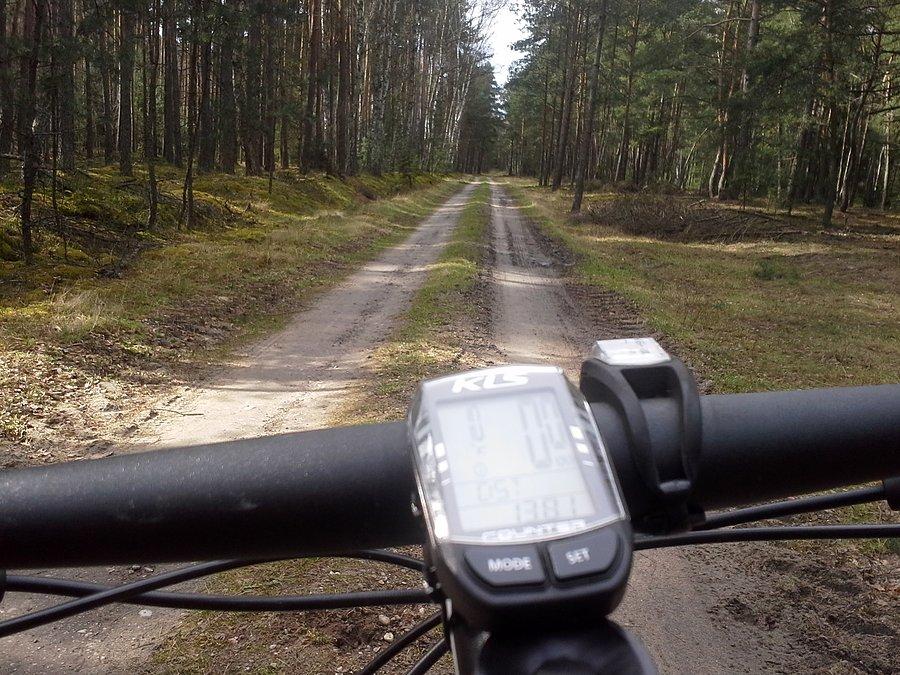 Las wylot na Borówiec