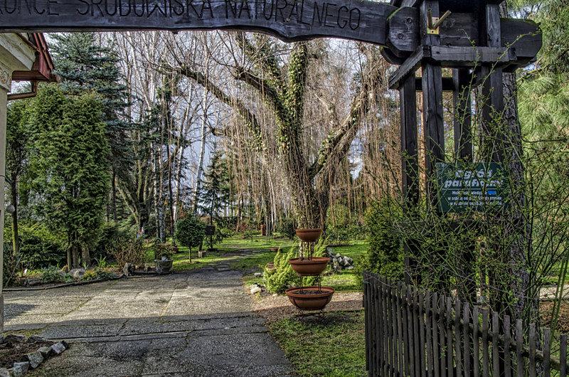 Wejście do parafialnego ogrodu botanicznego