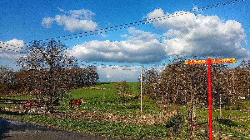 Quń :)