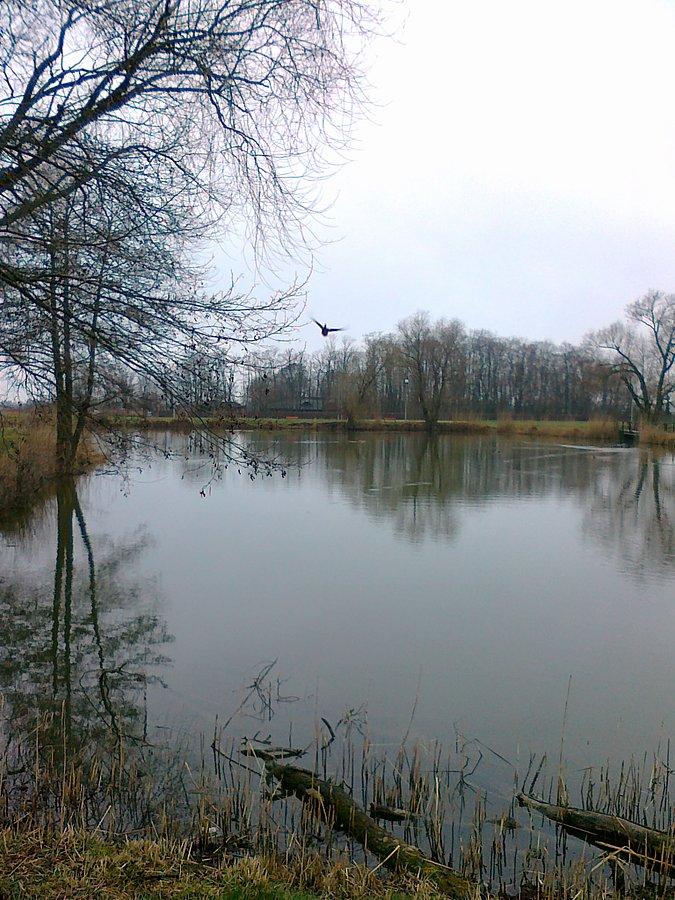 Tradycyjnie nad stawem