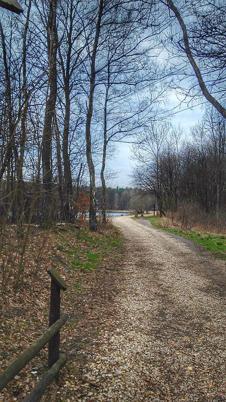 Ścieżka nad jezioro