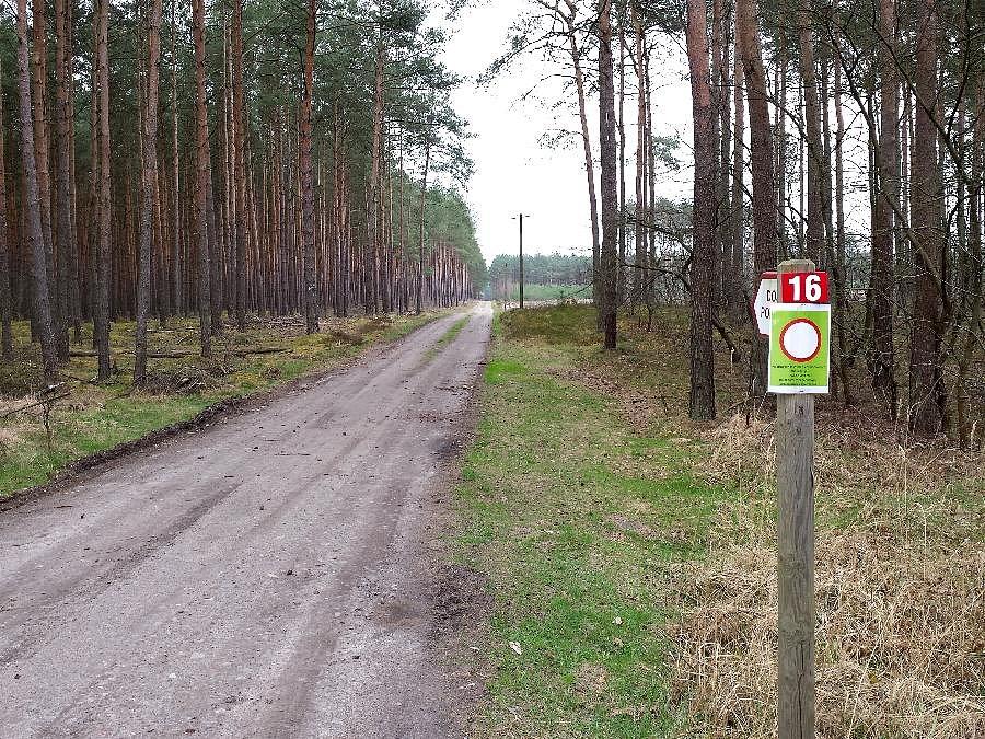 Dojazd pożarowy nr 16