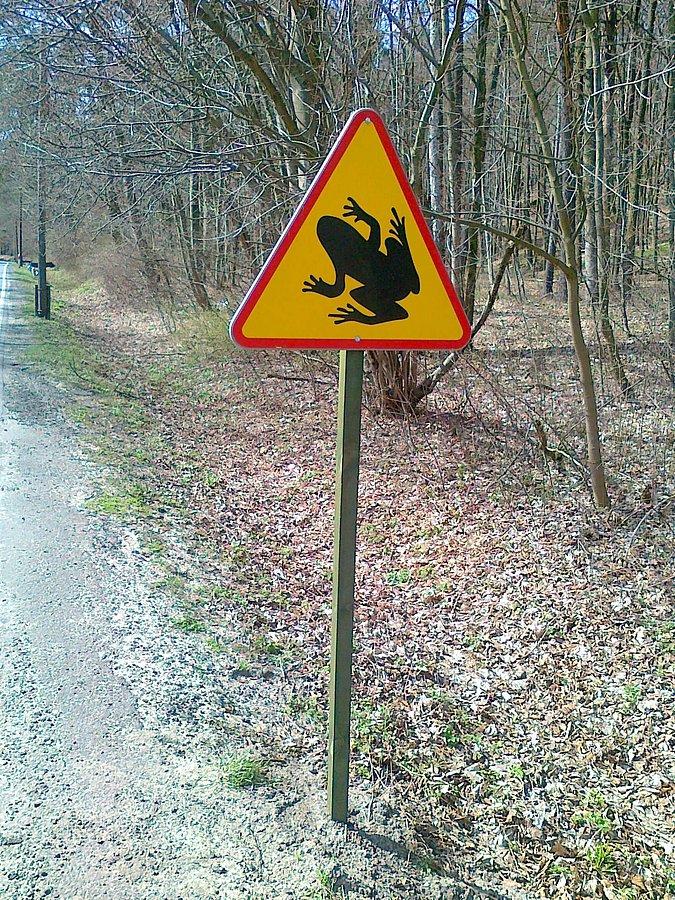 Uwaga!!! Zaklęte Księżniczki :)