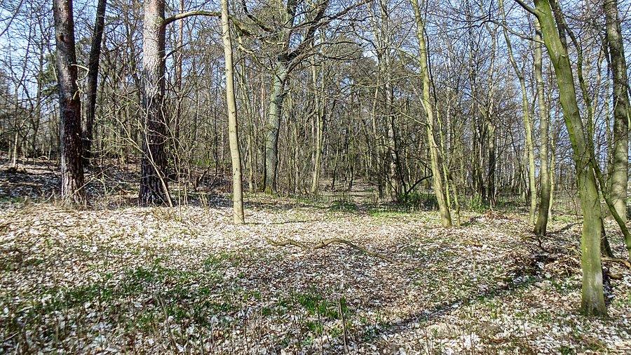 Jakoś do drogi na Pęzino trzeba dojechać :)