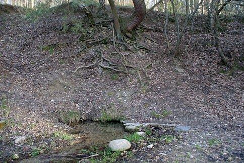 U źródła w Smardzewicach