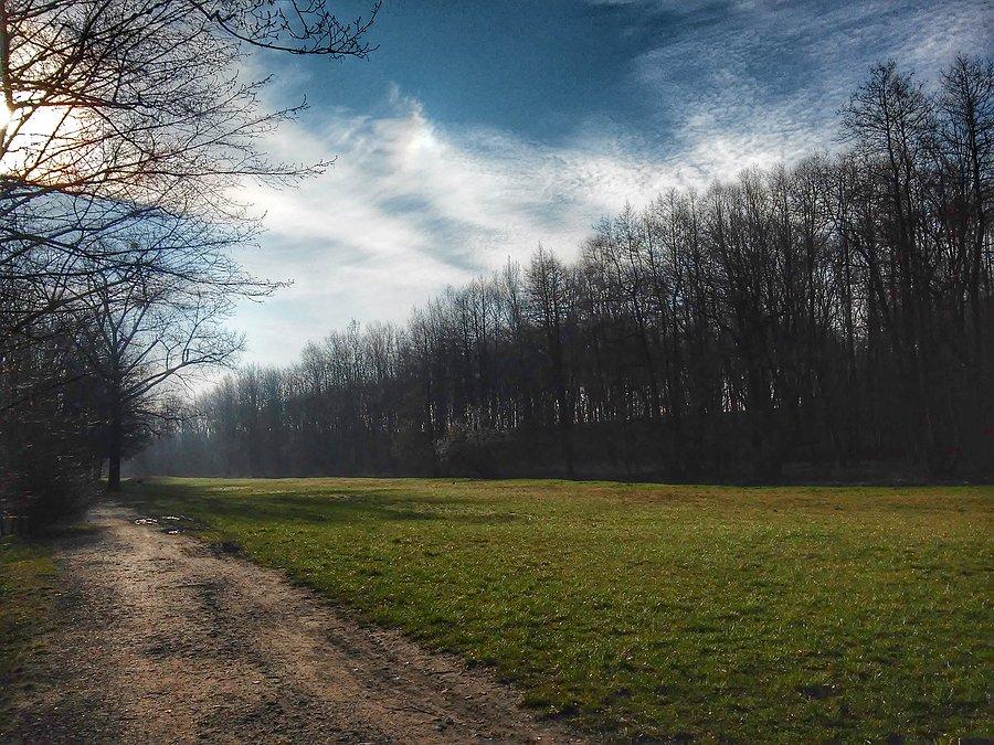 Budzi się dzień