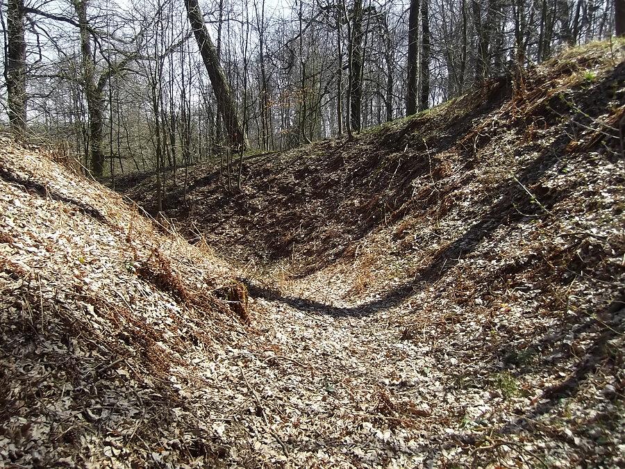 Fosa wokoło byłego grodu