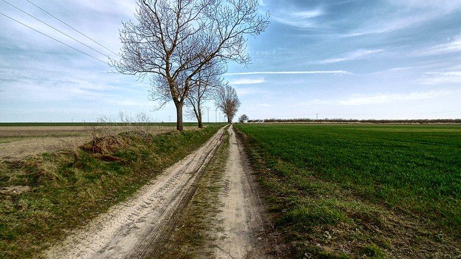 Na drodze do Strzyżna