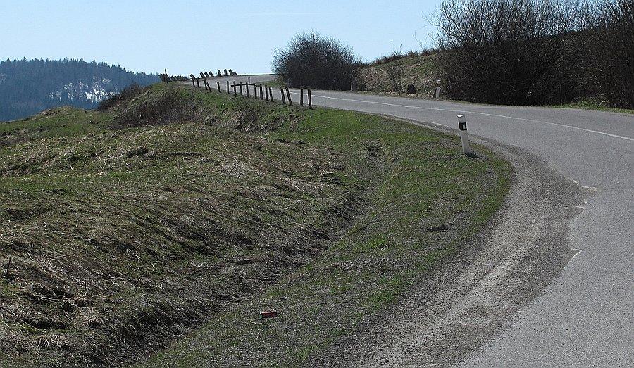Podjazd na Lesnicke sedlo