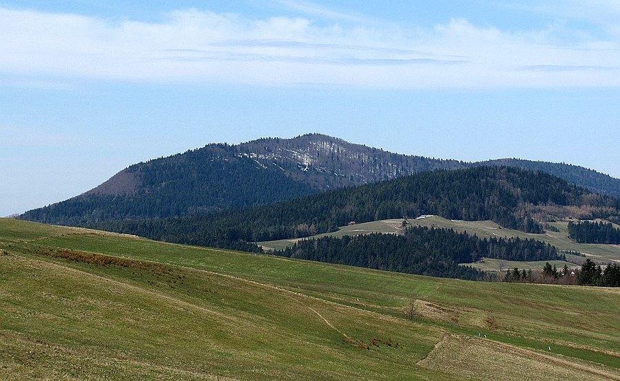 Jaworze z Wawrzki