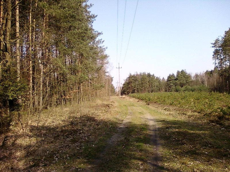 Droga w stronę Rzgowa