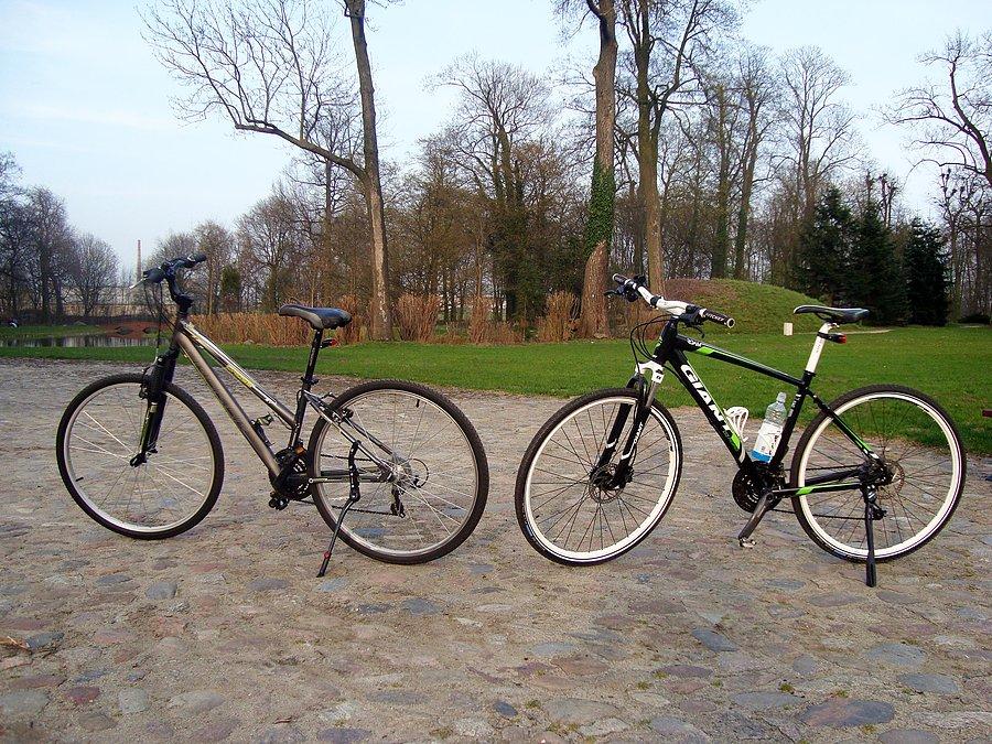 Rowerki w parku