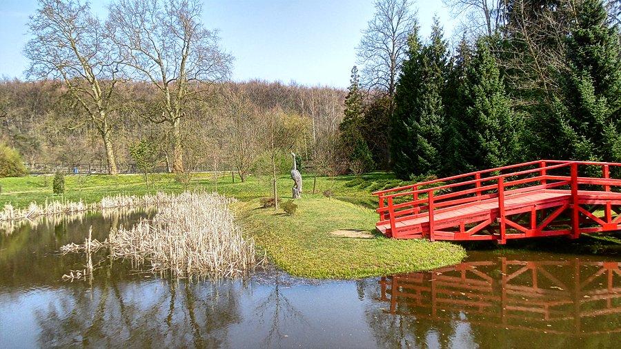 W Ogrodzie Dendrologicznym w Glinnej