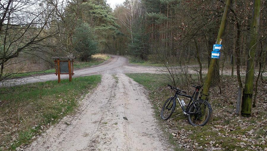 Tego piaszczystego zakrętu nie cierpię, ale gnać trzeba :)